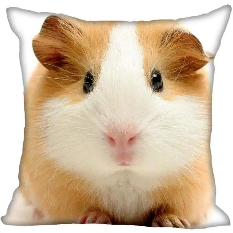 Living Room Pillowcase Guinea Pig   Modern Home