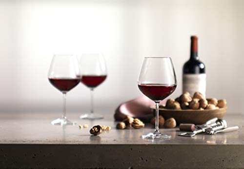 ZWILLING Zwilling Burgundy Grand Glass Set of 6 Re
