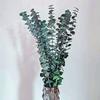 10PCS Preserved Dried Eucalyptus Branches 17" Natural Fresh Eucalyptus Leaves Branches Vase Filler Flower Arrangement Home Decor