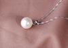 925 Silver Necklace Pendant Dolphin AAA Zircon For Women Fashion Clavicle Chain Necklaces Wedding Party Jewelry Gift