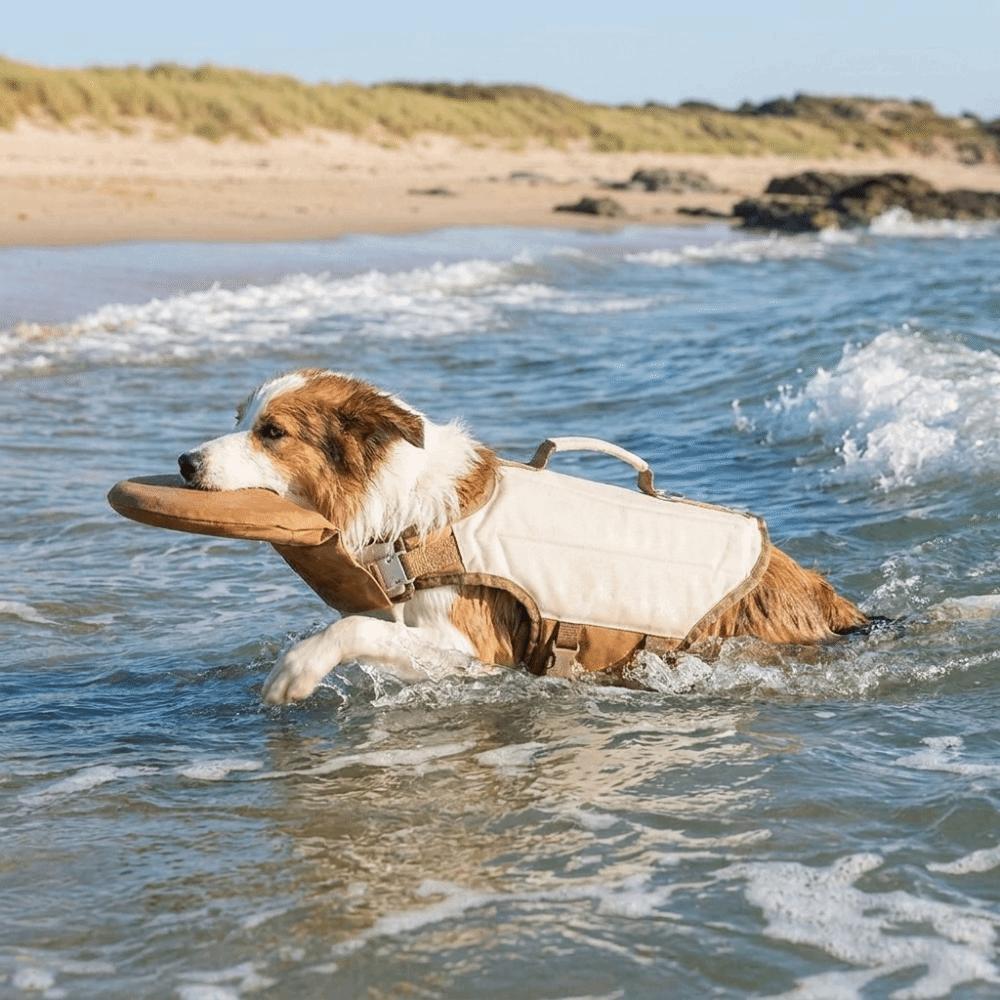 High Buoyancy Dog Life Jacket Breathable Dog Flotation Vest Dog Surfing Suit Dog Safety Vest Beach
