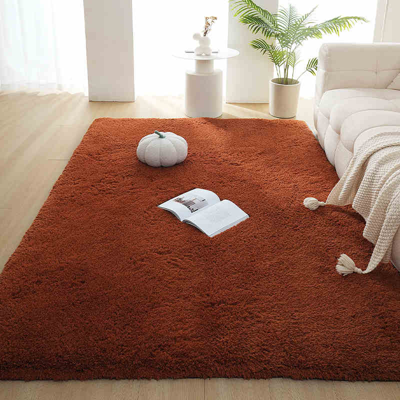 

Толстый Плюшевый Ковер Гостиная Ворсистый Теплый Бархатный Коврик Для Спальни Однотонный Напольный Коврик Нескользящий Моющийся 80x120cm кофейный