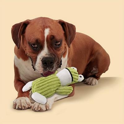 Köpek – Köpek oyuncakları