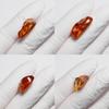 Stone Natural Fossil Amber with Insect Specimen of a 23x15x9mm [N2 Natural] - (34 "One Kind" [Amber Approx. 1.6g, Insect Approx. 1mm])
