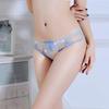 Transparent Embroidered Sexy Panties Women's Underwear Transparent Panties