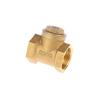 DN15-DN40 Horizontal Brass Check Valve - Female Thread Non-Return Valve for Equipment