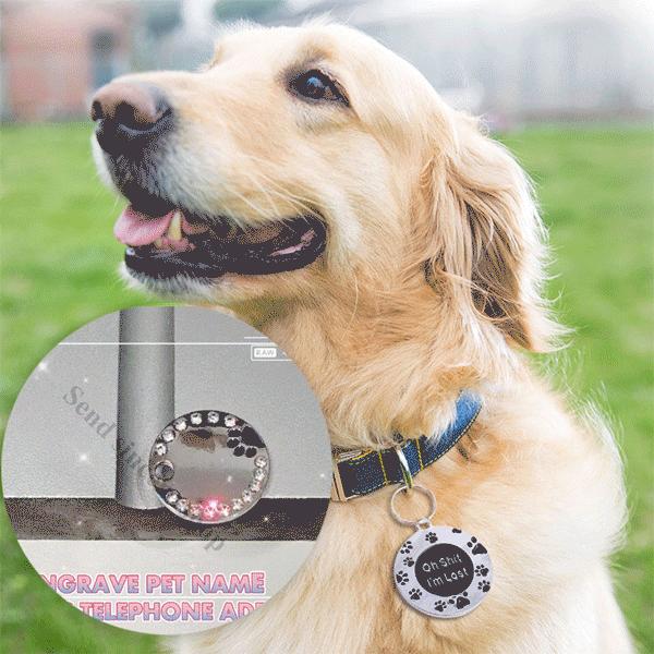 Buy Personalized Engraving Pet Cat Name Tags Customized Dog ID Tag