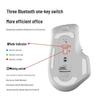HP Professor 1 Ergonomic Tri-Mode Wireless Mouse Set