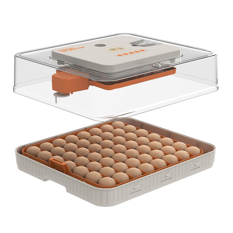 56-Egg Automatic Incubator with Precise Humidity Control, Adjustable Egg Turning, and Countdown Timer for Home Use