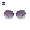 HLA Women's Oversized Gradient Nylon Sunglasses