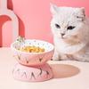 Eating Feeders For Dog Cat Cat Food Bowl Pet Supplies Pet Feeder Bowl Water Feeder Container