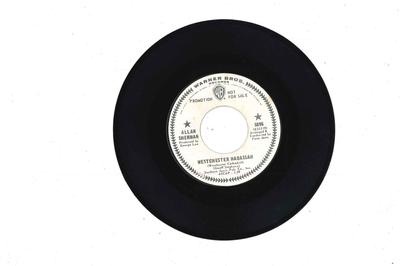 7inch Record ALLAN SHERMAN - Westchester Hadassah / Strange Thin 5896PROMO WARNER BROS 1967 US Pop Used