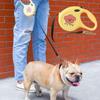 Automatic Dog Walking Roulette Collar Retractable Traction Rope Nylon Dog Leash  Small Medium Dogs