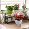 Flower Pot Multi-use Self Watering PP Partition Layer Detachable Planter Pot for Garden