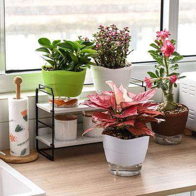Flower Pot Multi-use Self Watering PP Partition Layer Detachable Planter Pot for Garden