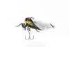 Jackson Namazemi Cicada Floating Lure MMZ (4964)