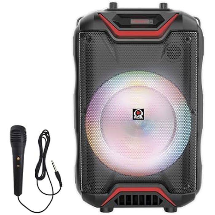 Haut-Parleur - CLAUDIO REIG - SA16608 - Sans fil - Microphone - Bluetooth