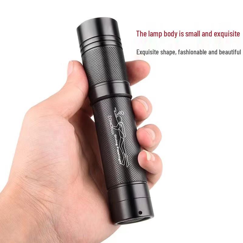 OEING Professional Rechargeable Dive Light