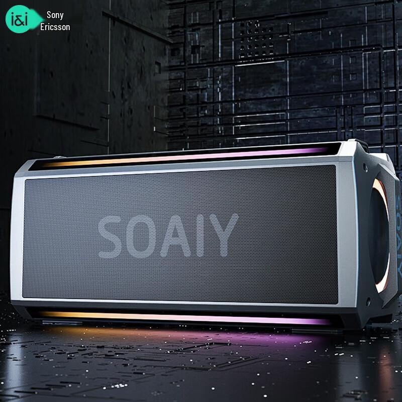 Soaiy SH05 Outdoor Karaoke Bluetooth Speaker with Dual Mics