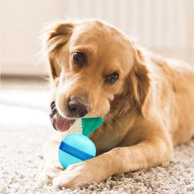 Hunde – Legetøj til hunde