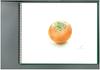 Maruman Sketchbook F4 Vif-Art Watercolor Paper, Medium Grain, 15 Sheets, S24VA