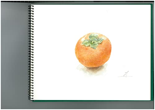 Maruman Sketchbook F4 Vif-Art Watercolor Paper, Medium Grain, 15 Sheets, S24VA