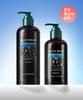 [SET] Black Bean Large Capacity Hair Loss Symptom Improvement Shampoo Total 820ml (520ml+300ml)