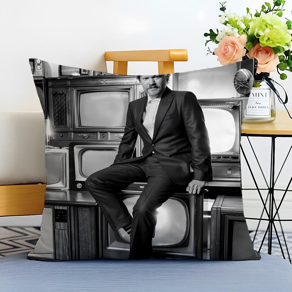 J-Jesse Plemons Cushion Cover Washable Linen Pillowcase Soft For Sofa Bed Cozy Home Room Decor