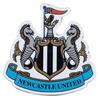 Crest Fridge Magnet