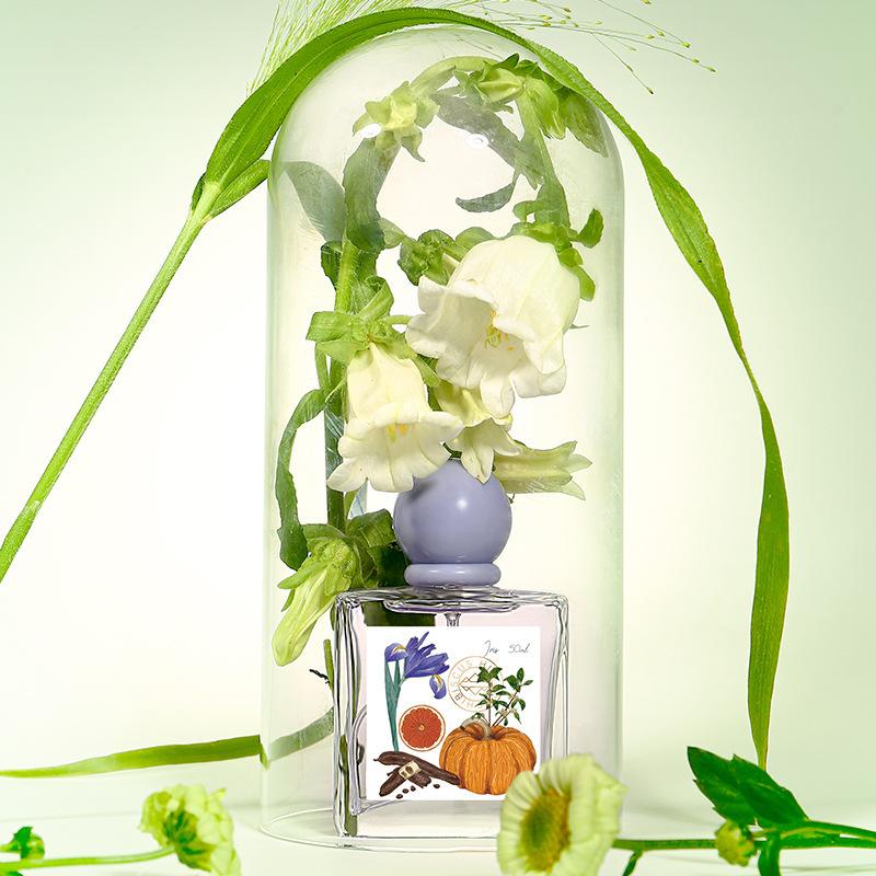Women's perfume Long-lasting light fragrance fresh floral and fruity fragrance niche perfume for women