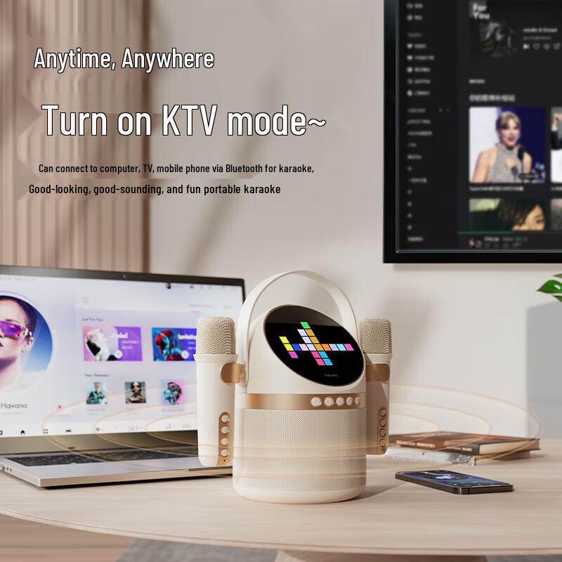 Philips TAS2508 KTV Karaoke Speaker
