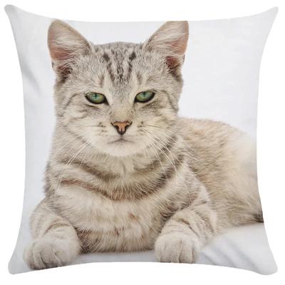Cute Pet Cat Pillowcase Sleeping Bubble Black  Kids Gift Cushion Cover Sofa Living Room Home Decor Custom,(6)
