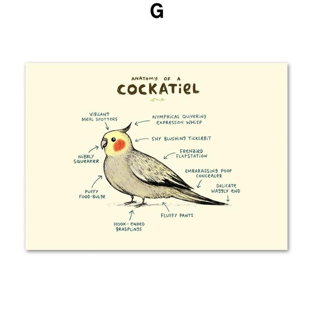 

Фламинго, лиса, ленивец, овца, анатомия животных, настенная живопись на холсте, плакаты на скандинавскую тему и принты, настенные панно для декора гостиной, без рамки 40*60cm