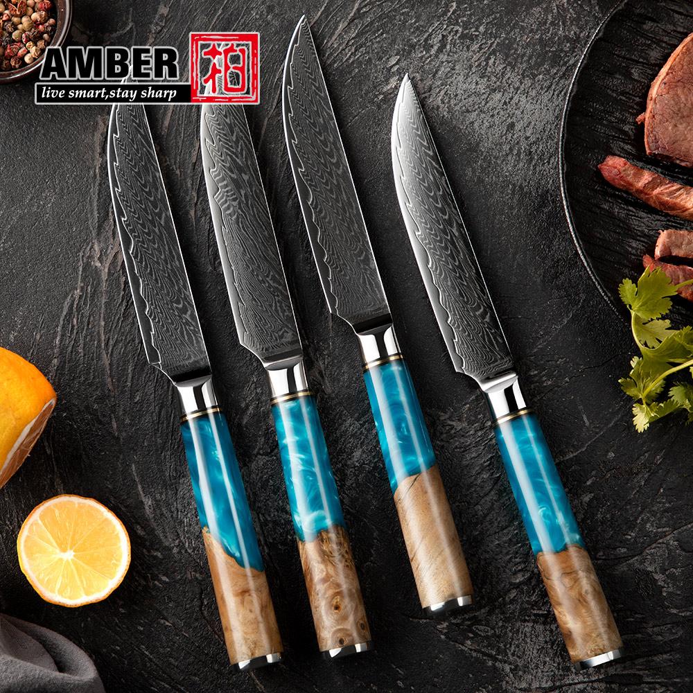Amber Hot Selling 67-Layer Damascus Steel Kitchen Chef Knife Set Super Sharp Blade 10Cr15CoMoV Core with Resin & Wood Handle