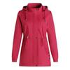 Spring Windbreaker Jacket Fashion Women's Plus Size Spring and Autumn Middle-aged Leisure Jacket Top