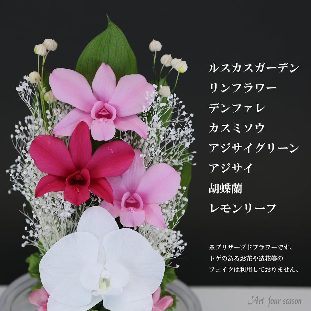 Kunst für Jahreszeiten Dendrobium Kuppel (Klares Rosa)