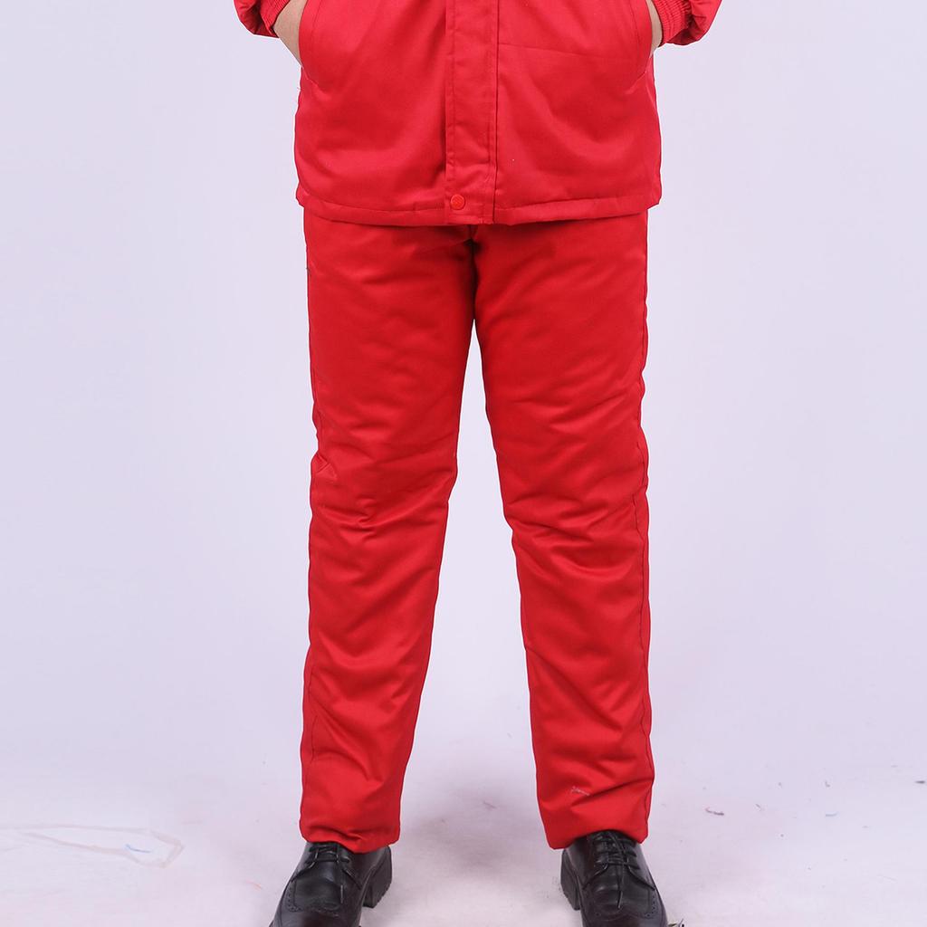 Men's Winter Antistatic Reflective Cotton-Padded Jacket for Cold Storage Workwear