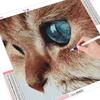 Diamond Painting Full Round Arrivals Cat Embroidery Cross Stitch Animal Full Display Rhinestone