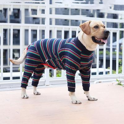 Giyim ve ayakkabı – Köpekler İçin Tulum