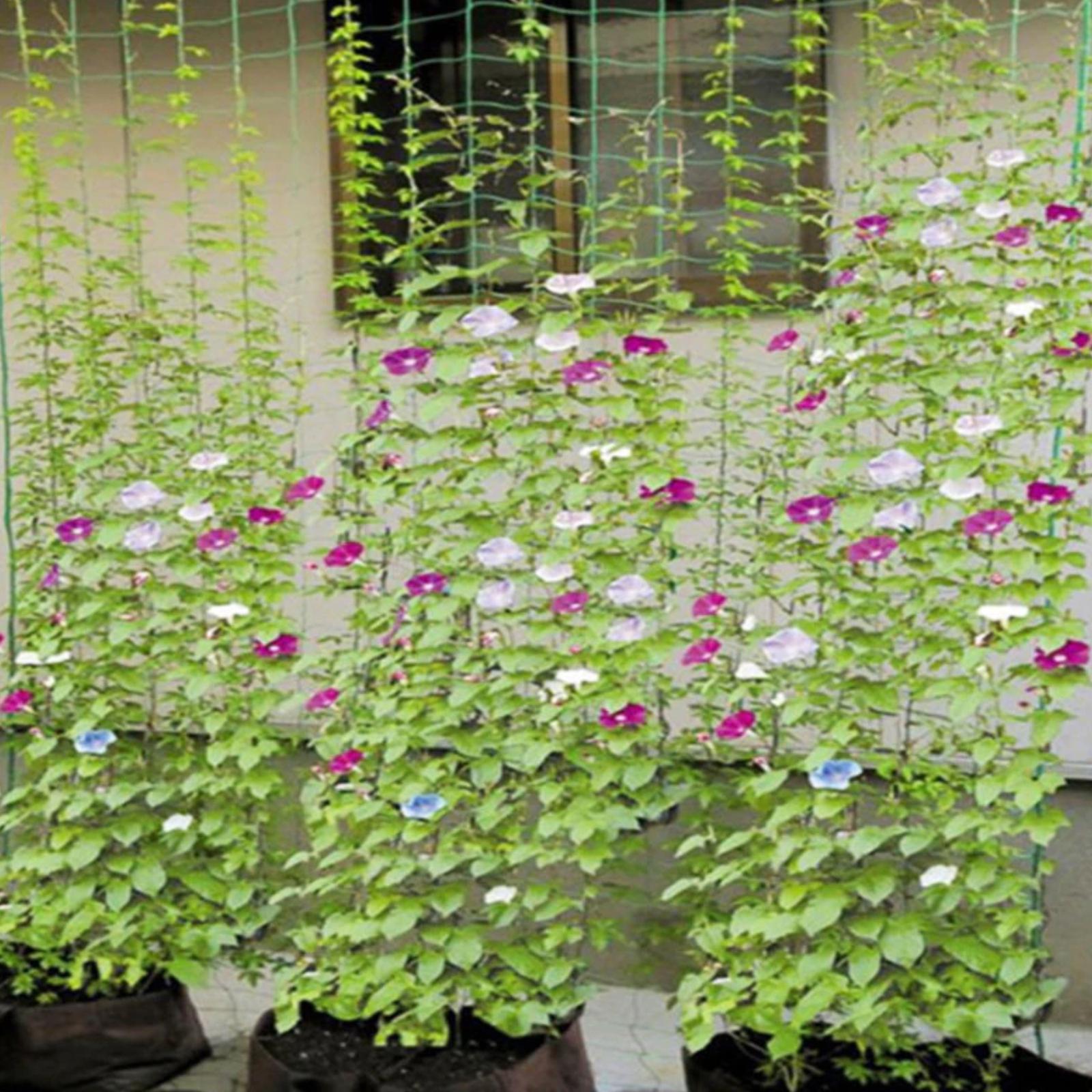 Бытовая настенная стойка для хранения вещей без перфорации крючок для шляп и сумок в студенческом общежитии One Size 548₽