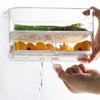 Transparent Fridge Drain Storage Box with Lid