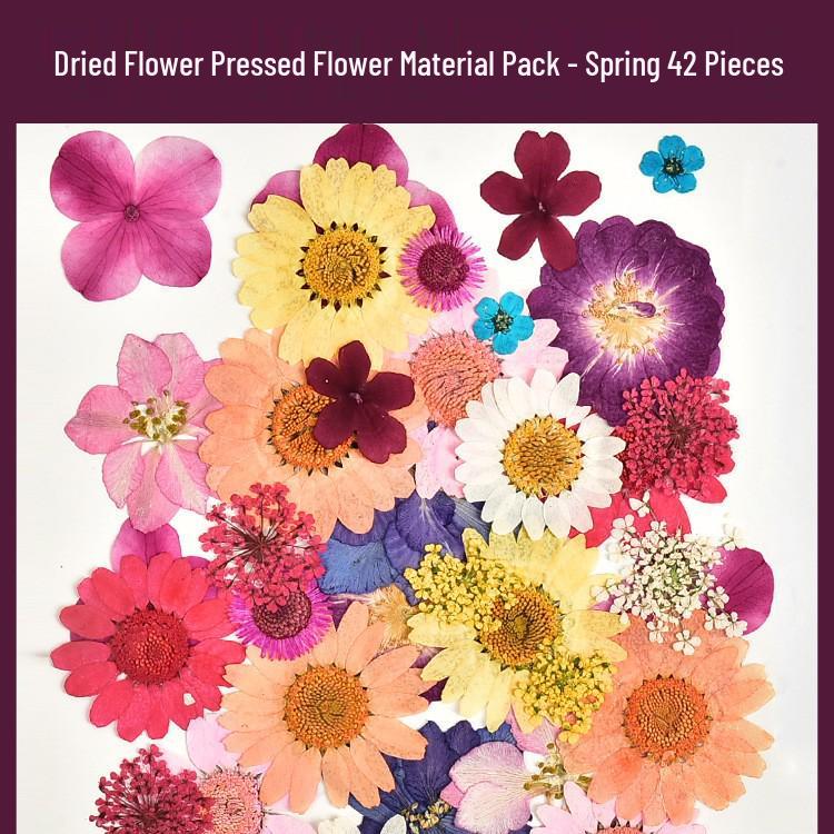 Autumn Dried Flower Bookmark Kit: Transparent Leaf Specimen with Lamination Film Stickers