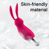 Mini Bunny Silicone Vibrator Dual Stimulation Clitoral Massager with Whisper-Quiet Motor Waterproof Body-Safe Easy-Clean Discreet Adult Toy for Women