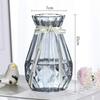 European-Style Hydroponic Pothos Vase with Dried Flowers for Living Room Decor