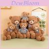Plüschtier Teddybär mit PP-Baumwollfüllung für Mädchen und als Geschenk
