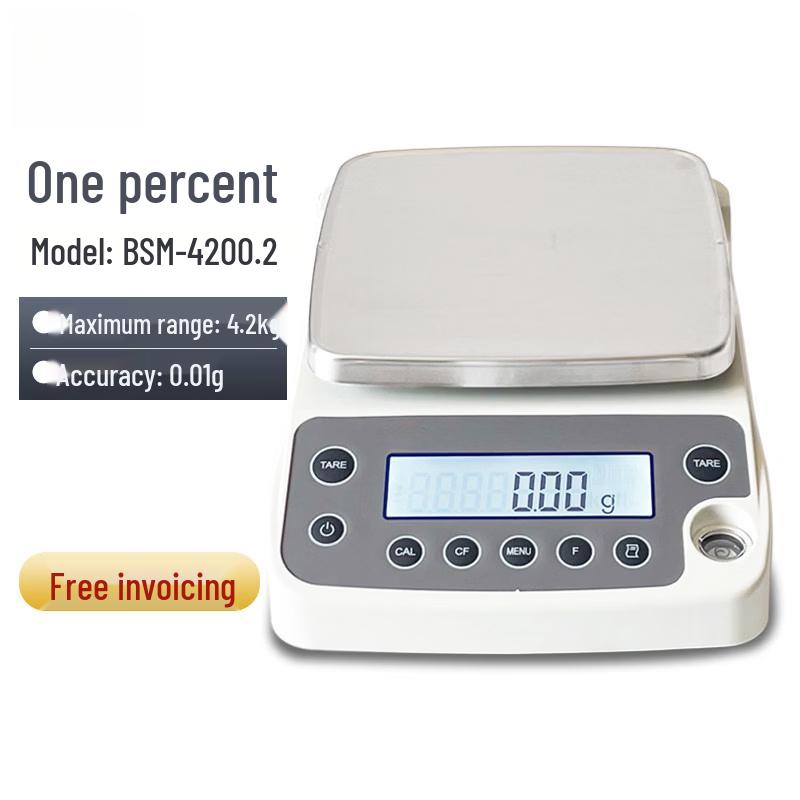 Ruhan Precision Electronic Analytical Balance