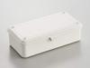 TOYO Steel Color Tool Box Trunk-Type (Toolbox) T-190 (White)