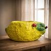 Decorative Planter with Drainage Hole Textured Sculptural Garden