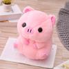Lucky Pig Plush Toy - Cute Big Head Cushion for Girls, Gift for Holidays & Claw Machine Fun