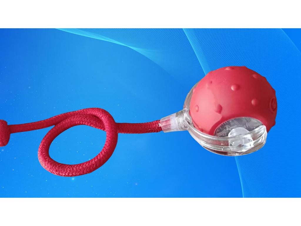 Smart Rolling Ball: Electric Dog Teething Toy & Bite-Resistant Teaser for Boredom Relief